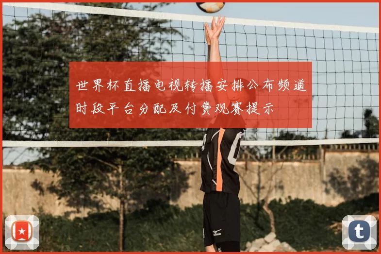 世界杯直播电视转播安排公布频道时段平台分配及付费观赛提示