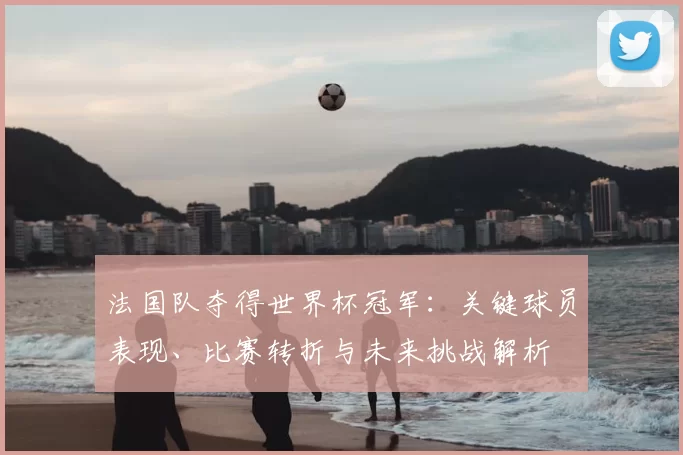 法国队夺得世界杯冠军：关键球员表现、比赛转折与未来挑战解析
