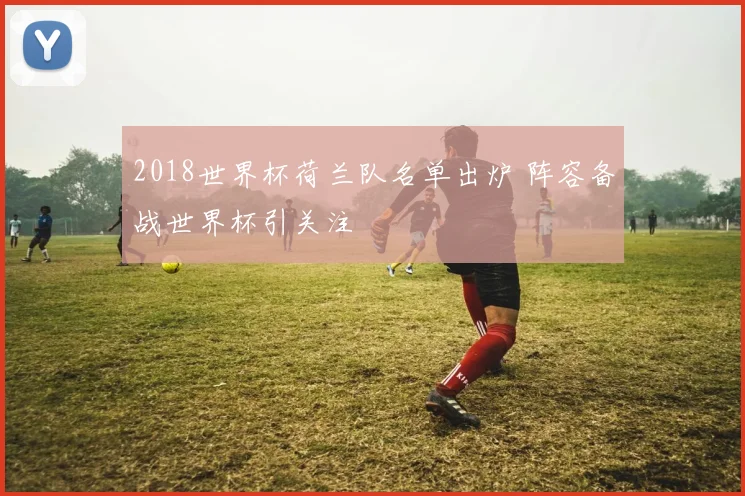 2018世界杯荷兰队名单出炉 阵容备战世界杯引关注