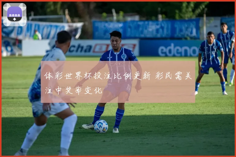 体彩世界杯投注比例更新 彩民需关注中奖率变化