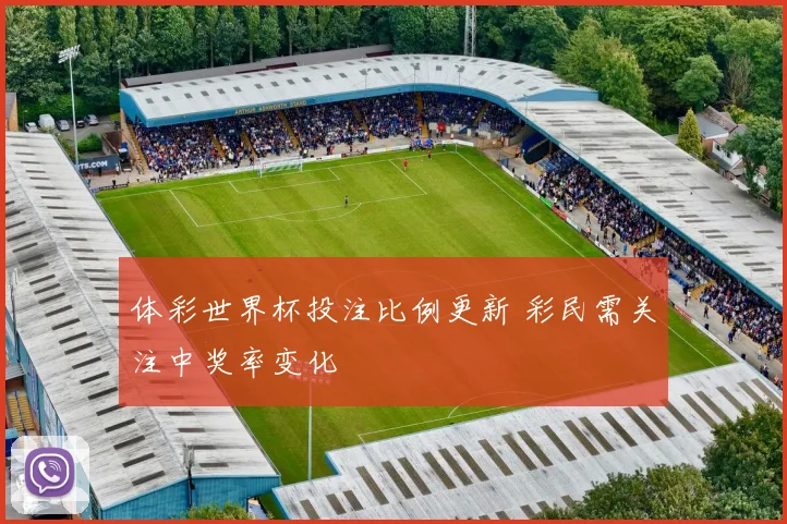 体彩世界杯投注比例更新 彩民需关注中奖率变化